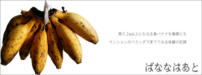 bananahearttitle.jpg